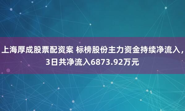 上海厚成股票配资案 标榜股份主力资金持续净流入，3日共净流入6873.92万元