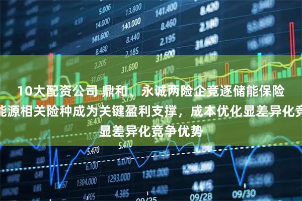 10大配资公司 鼎和、永诚两险企竞逐储能保险赛道：能源相关险种成为关键盈利支撑，成本优化显差异化竞争优势